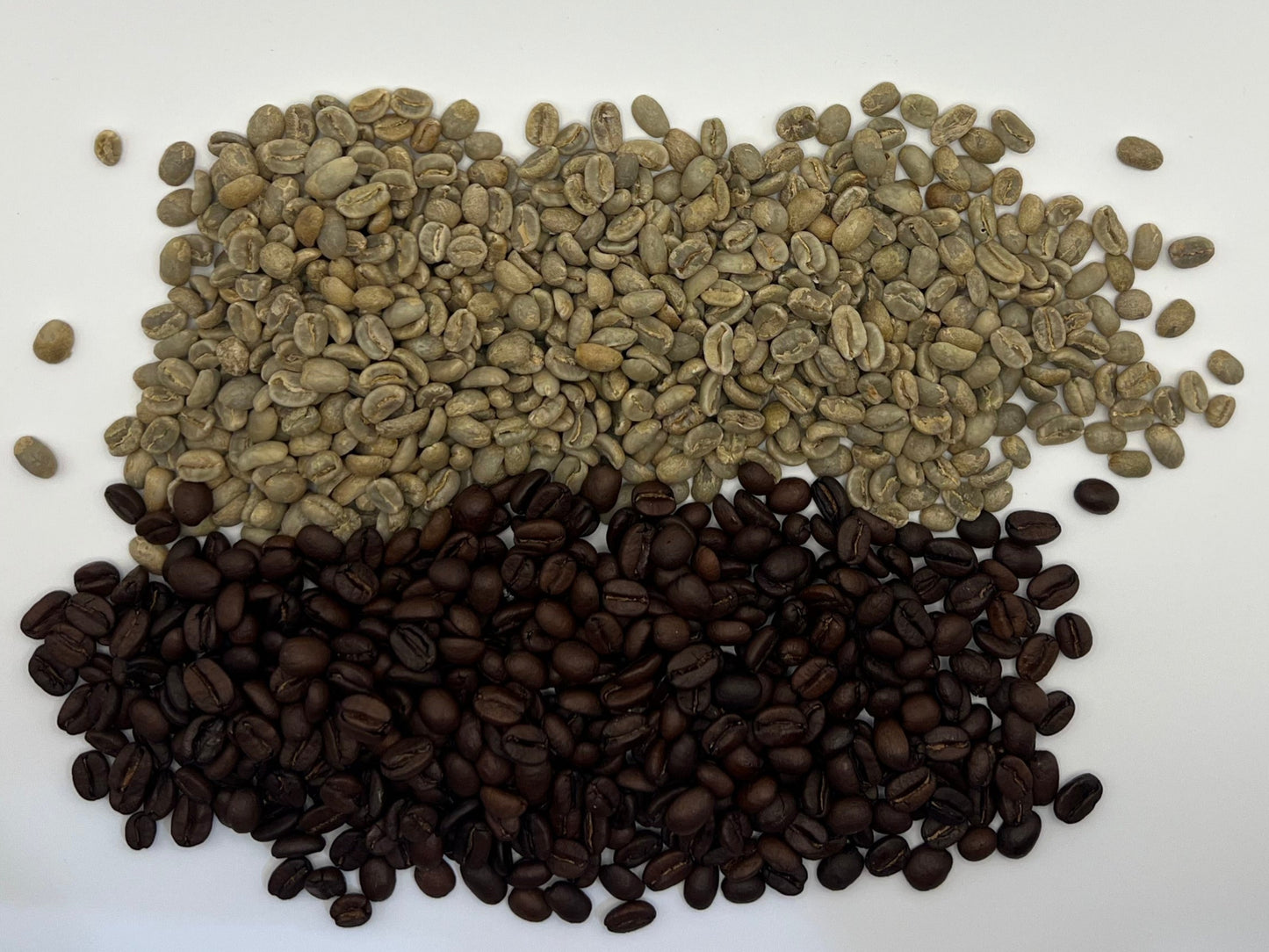 Richmond Rise, Fresh Made to Roast Coffee, Whole Bean or Ground Coffee, Pure Peru Coffee Beans